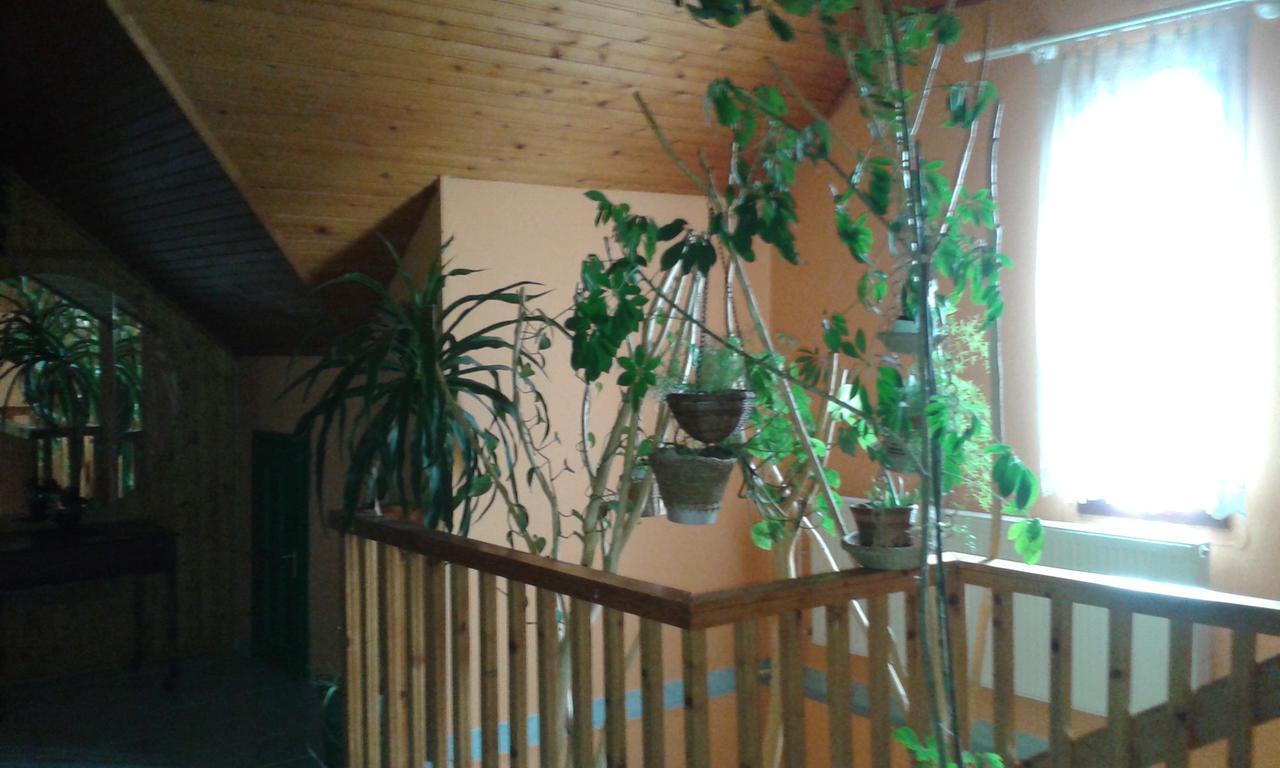 Kisdiofa Panzio Es Vendeglo Bed & Breakfast Vajdacska Exterior photo